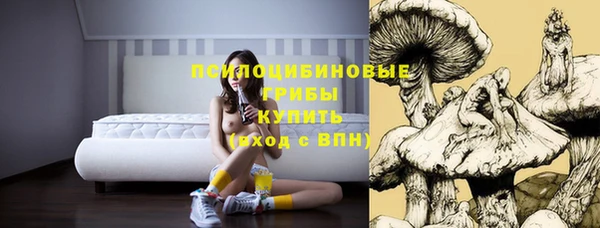 альфа пвп Елабуга