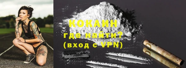 гашик Ельня
