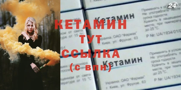 гашик Ельня