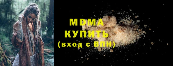 гашик Ельня