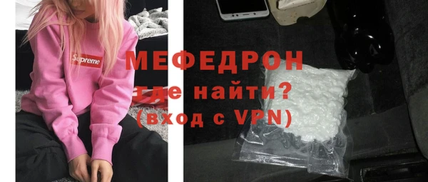 гашик Ельня