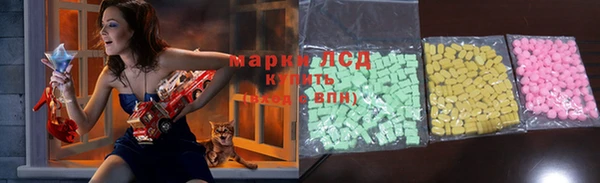 гашик Ельня