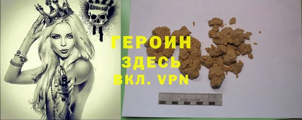 гашик Ельня