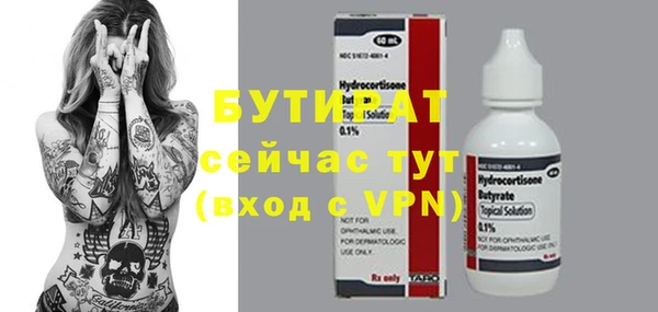 гашик Ельня