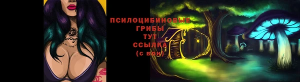 гашик Ельня