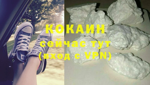 гашик Ельня