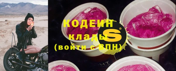 гашик Ельня
