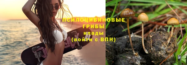 альфа пвп Елабуга