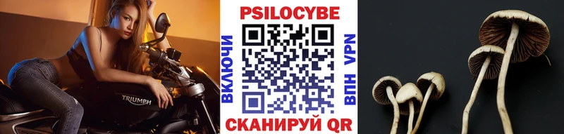 Галлюциногенные грибы Cubensis  Кемь 
