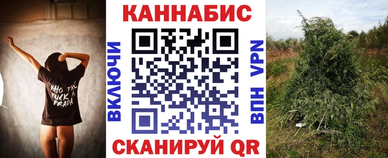 Канабис SATIVA & INDICA Кемь